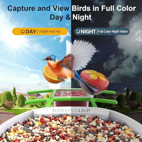 birdsnap® PAV Bird Feeder with Camera Solar Powered 2K Live Video 64GB Card | AI Bird Species Identification, Instant Arrival Alerts, IP65 Waterproof, Wild Bird Feeders for Outdoors, Gift for Bird Lovers - color: Green