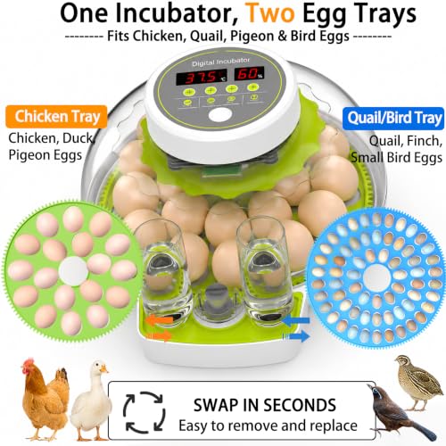 18/60 Egg Incubator with Humidity Display, Incubators for Hatching Eggs, Egg Candler, Automatic Egg Turner, Poultry Egg Incubator for Hatching Chicken Duck Goose Bird Quails- Green 2 Egg Trays - color: Green