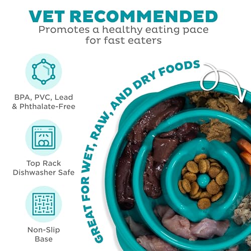 Outward Hound Fun Feeder Slo Bowl – Medium 2‑Cup Capacity, Slow Feeding, Small to Medium Dogs & Cats, Non-Slip, Turquoise, Drop Pattern - color: Turquoise, size: Medium
