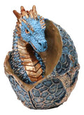 Ebros Gift Metallic Bronze and Blue Azure Dragon Hatchling in Dragon Scales Egg Figurine Medieval Gothic Fantasy Dragons Accent