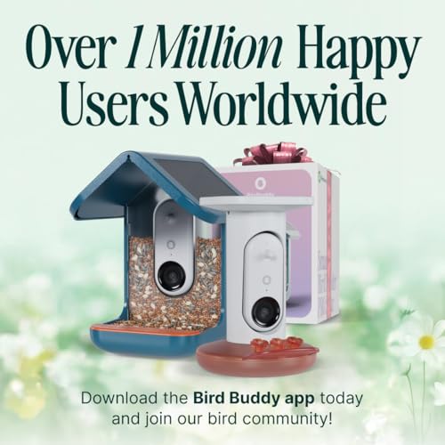 Birdbuddy Solar Hummingbird Feeder with Camera, AI Bird ID, 2K Video, Photo | 2K video quality, 5MP Photos, 1/2.7” sensor with excellent low-light performance, High Dynamic Range (HDR)