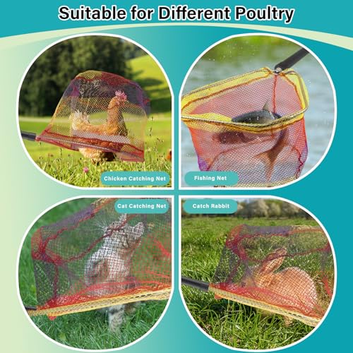 Chicken Catcher Net,37 to 64in Chicken Catcher Leg Hook Extra Long Handle Animal Catcher Pole Heavy Duty with Frosted Tube Extension Pole Poultry Hook Fowl Catcher (Black, 64in) - color: Black, size: 64in