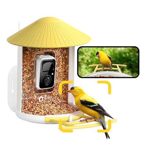 NETVUE by Birdfy AI Smart Bird Feeder with Camera, AI Auto Capture Each Bird Visit & Identify 6000+ Species, Cloud Store & Live Birdwatching, Ideal Gift (Yellow) - color: Yellow, style: AI