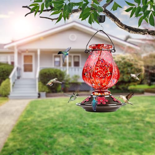 Hummingbird Feeders for Outdoors Hanging, Hand Blown, Red, 22oz | Glass Hummingbird Feeder with Ant Moat, 5 Bee-Proof Ports, Leak-Proof, 360° Perch, Garden Decor, Gifts for Women Men Mom Dad - color: Red