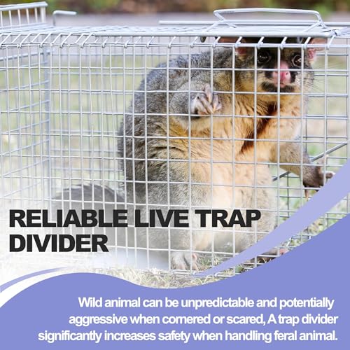 Trap Cage Divider Stainless Steel Divider for 10" and 12" Wide