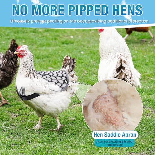 Chicken Saddle for Hens - Chicken Aprons for Hens With Adjustable Straps, Chicken Aprons & Vest Jacket for Hens - style: White Feather