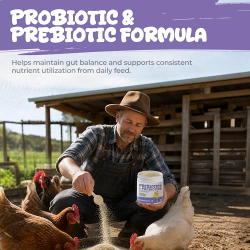 Chicken Probiotics Powder for Chickens, Ducks & Poultry, Digestive Support | Prebiotic & Probiotic Supplement for Digestive Health, Gut Balance, Feed Utilization & Daily Flock Wellness, 60 g