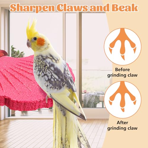 3 Pcs Bird Perch Resin Bird Beak Grinding Stone Leaf Shape Perch Stand Foot Clawing Trimmer Birds Cage Accessories for Cockatiels Conures Budgies Lovebirds (Pink) - color: Pink, size: Ginkgo leaves