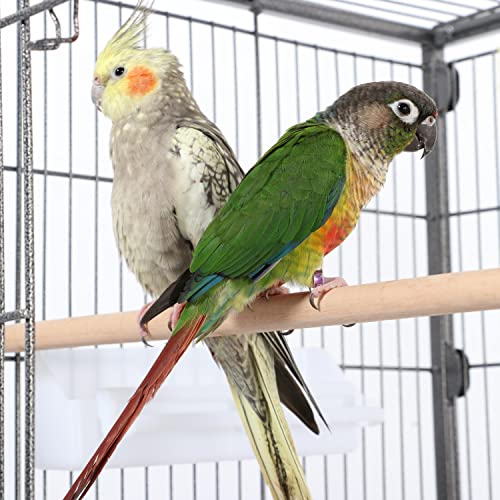 Topeakmart X-Large Parrot Cage Bird Cage with Rolling Stand for Medium Birds Cockatiels Quaker Green Cheek Sun Conure African Grey, 60.5inch - size: X-Large