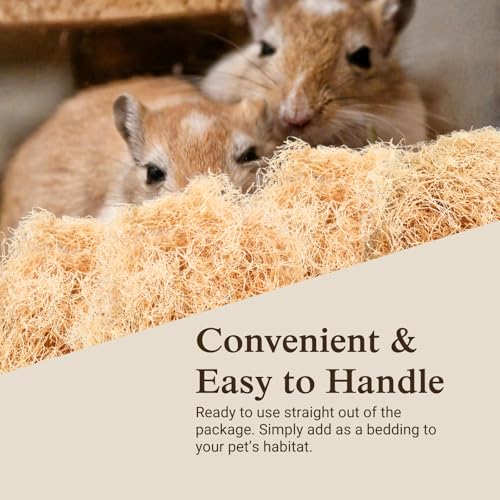Aspen Wood Excelsior, Fine Cut, Medium 2-Pack | Natural Aspen Wood Excelsior for Crafts & Animal Bedding, Cages, Soft & Absorbent, Dye-Free, Family Owned, USA Made - size: Medium 2-pack, style: Fine Cut