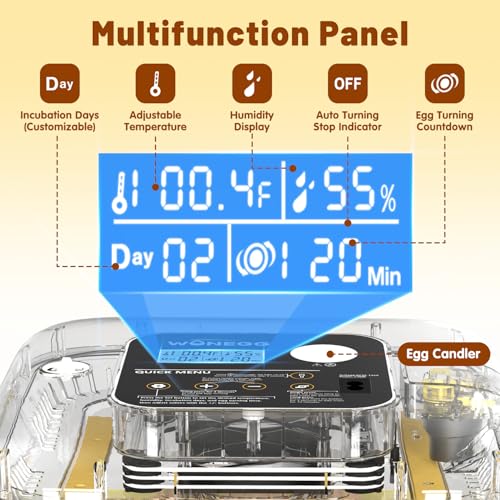 Incubator for Hatching Eggs, 12 Eggs Incubator with Automatic Egg Turning, Temperature & Humidity Control, LED Egg Candler, Incubation Days Display, for Chicken, Duck, Quail, Parrot Bird Eggs