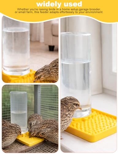 Ultra Leak-Proof Quail Chick Water Feeder – Premium Large Capacity, Non-Toxic & Durable, Ideal Button Quails Waterer, No-Spill Quail Coop & Poultry Supplies for Easy Hydration
