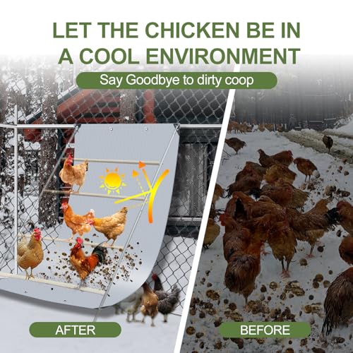 Chicken Coop Poop Hammock Waterproof and UV, 6.5 * 4 FT Poop Deck | with 8pcs Ball Bungees Cords, Chicken Roosting Perch to Catch the Chicken Poop for Poultry（Not Include Perch)