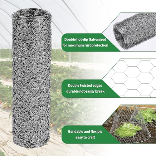 ROADPLUM 13.8 in x 49 ft Chicken Wire Fencing, Rustproof Galvanized Iron Chicken Wire Mesh for Pet Rabbit, Floral Chicken Wire Roll Netting to Protect Poultry Plant Fruit (Pack of 2) - size: 13.8 x 590 in (Pack of 2)