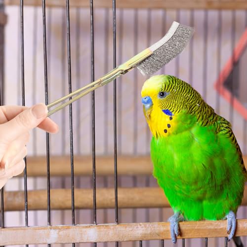 Abaodam 6 pcs Handle Bird Cage Cleaning Brush Pet Cage Cleaning Accessory Parrot Bird Droppings Wire Brush Scraper Tool Supplies