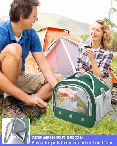 Bissap Bearded Dragon Travel Carrier, Portable Guinea Pig Carrier Bag Tortoise Carrier Pouch for Bunny Hamster Chinchilla Hedgehog Lizard Bird Outgoing Reptile Travel Carrying Case - Green - color: Green
