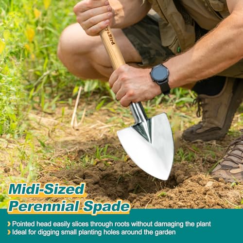 Berry&Bird Perennial Spade, 21.6''Long Trowel for Gardening Root Cutting Tool with Sharp Stainless Steel Blade, Wooden Handle Small Shovel Hand Edger Garden Tool for Planting, Digging & Transplanting - color: Perennial Spade