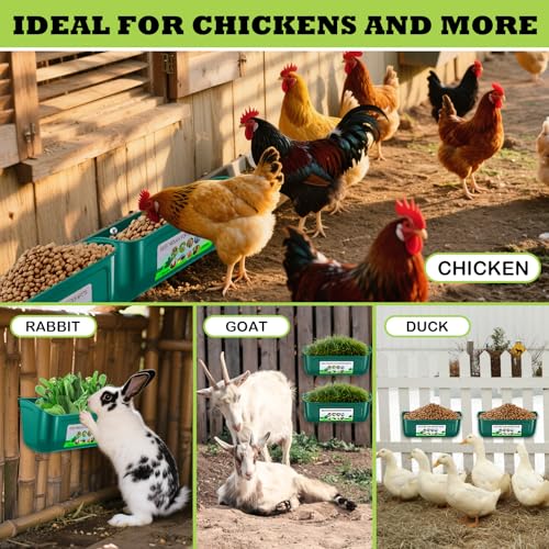 3 Pack Chicken Feeder, Duck Feeder Supplies, Hanging Fence Feed Trough with Clips for Goat, Sheeple, Piglet, Gooses, Turkeys, Dog Livestock Poultry, 8 Quarts in Total, Feed Scoop Included, Green - color: Green 3pcs