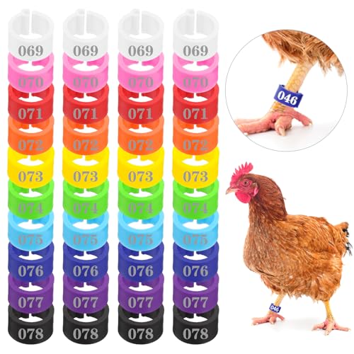 300Pcs 8mm Coturnix Quail Leg Bands Baby Chick Birds Chicken Identification Bands Rings, Poultry Foot Rings Leg Band Clip-on Ring for Poultry Identification