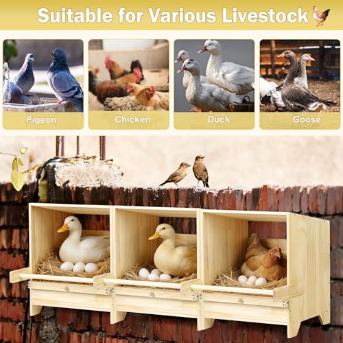 3 Compartment Chicken Nesting Box with Perches, Wooden Egg Laying Box Hens | 3 Packs, Floor / Stand / Wall Mount, Pull-out drawer, easy to get eggs, Easy Install / Clean, For Hens / Ducks / Chickens