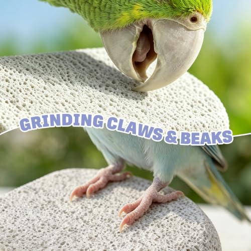 BNOSDM 4 Pcs Bird Beak Grinding Stone Calcium Parrot Perch Stand 4.7*2.6in - color: 4 Pcs- White (L)