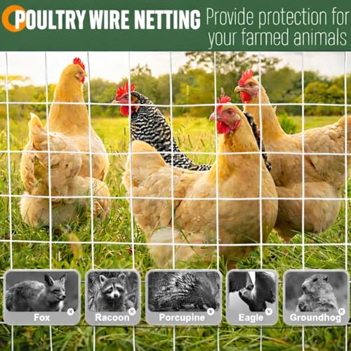 Gisafai 16 Gauge Galvanized Welded Wire Fence 6 ft x 100 ft PVC Coated Hardware Cloth, 2.36" x 2.36" Mesh, Heavy Duty Garden Fencing Roll for Yard Chicken Dog, Deer Cattle & Animal Protection(Silver) - color: Silver, size: 6 ft X 100 ft