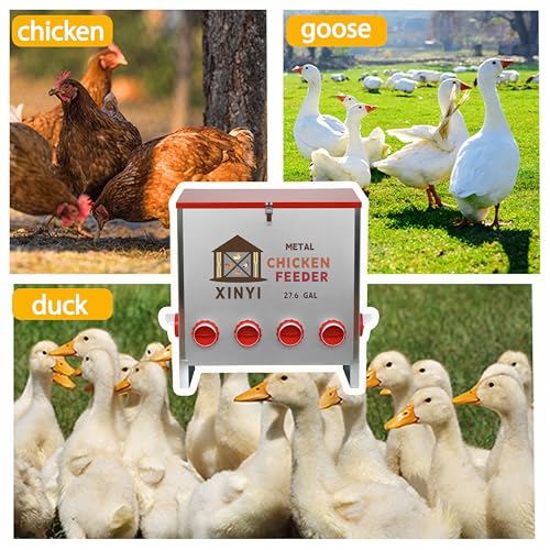 XINYI Automatic Metal Chicken Feeder, 27.6 Gallon Large Capacity with 10 No Waste Ports, Gravity Feeder with Locking Lid & Riveted Handles, Rodent Proof and Weatherproof for Your Chicken Coop - size: 10 ports