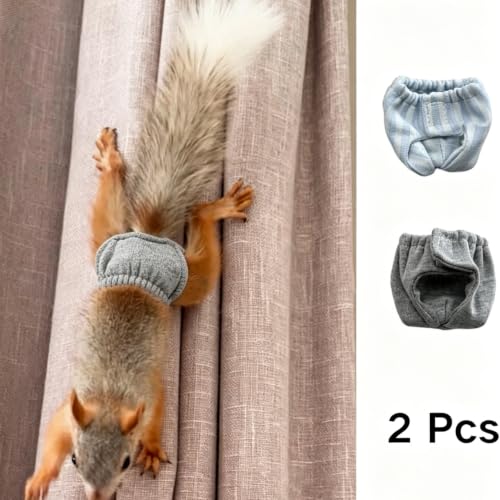 2 Pcs Squirrel Diapers- Reusable Washable Squirrel Diapers Absorbent with Strong & Flexible Pants for Squirrel,Fancy Rat,Groundhog Guinea Pig Small Sugar Glider (M)
