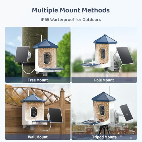 LIWAN Bird Feeder with Camera Solar Powered, 1 Year Trial AI Identify, 2K Live Video, Smart Bird Feeder Camera Wireless Outdoors, 2.4GHZ WiFi, Instant Arrival Alerts, Ideal Gift for BirdLovers