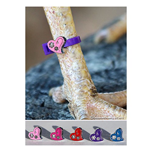 20 Chicken Charm Poultry Leg Bands - Includes Americas Favorite Super Hero's