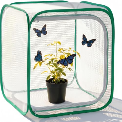Insect & Butterfly Habitat Cage, Portable Pop-Up Terrarium with Mesh Sides, Bug Catching & Observation Enclosure for Caterpillars, Small Insects, Outdoor & Classroom Use, 12 Inches Tall - color: White/Green, size: 12 × 12 × 12 inches