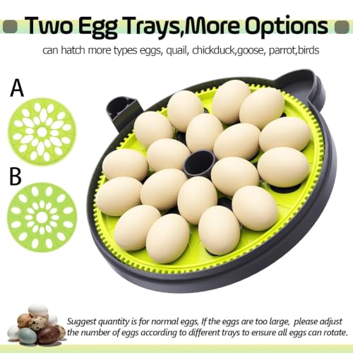 Egg Incubators for Hatching Eggs, Temperature Humidity Control | Automatic Egg Turning, Atomizer Humidification, Built-in Egg Candler, incubating chicken/duck/goose/quail/parrot eggs - size: 18 Egg