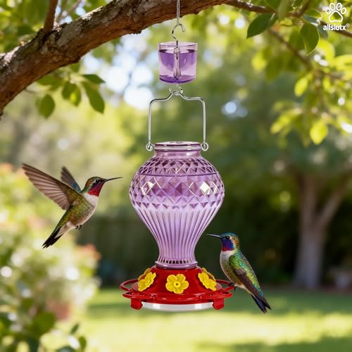 Glass Hummingbird Feeder for Outdoors Hanging, 20 oz Nectar Capacity, 6 Feeding Ports, Leak-Proof Rust-Free Plastic Base, Easy to Refill & Clean, Decorative Purple Glass Bird Feeder for Garden Patio - color: Purple, size: 20 Fluid Ounces