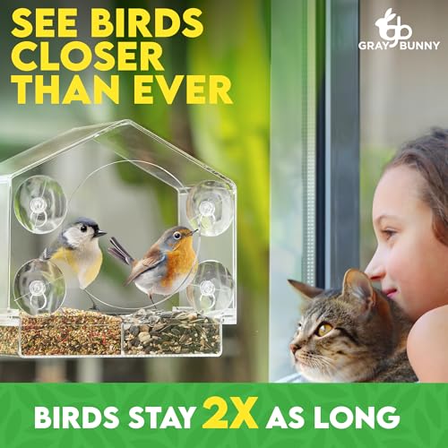 Gray Bunny Window Bird Feeder House – Suction Cup Mount Feeder | Suction cup bird feeder, birdhouse window, suction bird house, strong suction cups, easy to clean - style: Large House