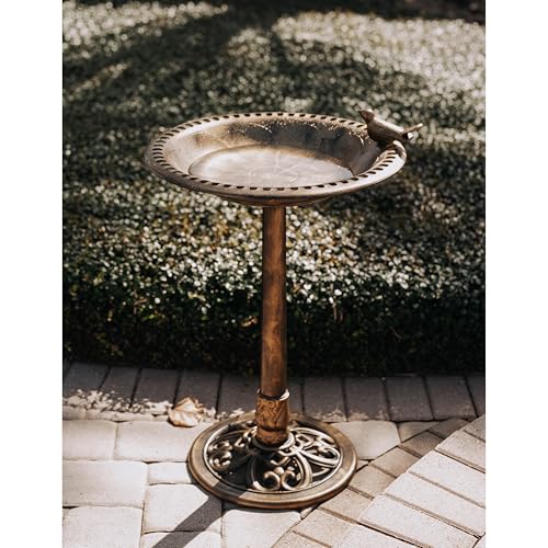 Backyard Expressions Outdoor Garden Bird Bath with Bird - Bronze - Weather Resistant Polyresin - 30 Inch - color: Bronze