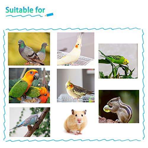 kathson Parrot Feeding Dish Cups,Stainless Steel Bird Food Water Bowl Parakeet Feeder Birds Cage Ball Toys with Clamp Holder for Cockatiel Macaw Budgies Small Animal Chinchilla (7 Pcs) - size: 【S:3.9x1.6 Inches】