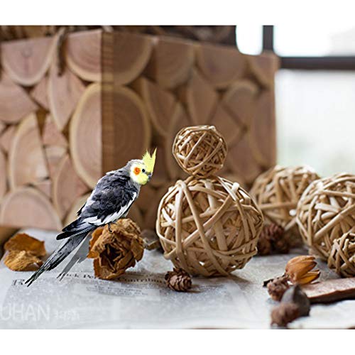 Tfwadmx 10 Pcs Willow Ball, Bird Foraging Toys, Small Animal Chew Toy Activity for Parrot Macaw Hamster Guinea Pig Rat Parakeet Cockatiels Conure Finch Budgerigar Lovebird - size: 1 In