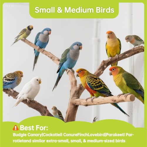 Natural Balsa Wood Bird Chew Toys,10 Pack Soft Wooden Slices with Prints - size: Small