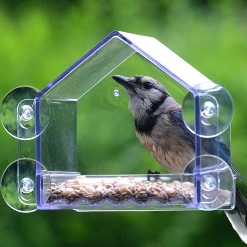 Nature’s Way Crystal Window Seed Feeder with 4 Secure Suction Cup Mount, Clear 2-Cup Capacity Hanging Bird Feeder for Close-Up Viewing, 6.5"