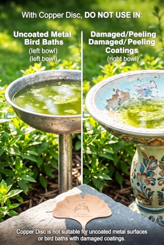 3-Pack Bird Bath Copper Disk, 99.9% 0.6mm Thick Pure Copper Bird Bath Disc | beautiful leaf design, high-quality copper material,get 3 pieces with one purchase