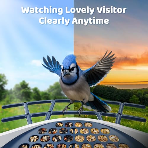 Smart Bird Feeder with Camera, Dual Seed Chambers &Squirrel-Proof, Solar-Powered HD Camera Birdfeeder with Free AI Birds Species Recognition, Real-Time App Alerts–Ideal Gift for Bird Lover - color: Blue