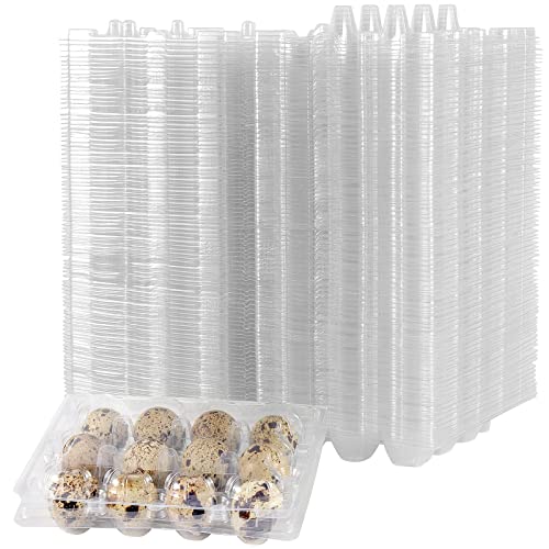 MANCHAP 150 Pack 12 Grids Plastic Quail Egg Carton Bulk, Clear Holders, Small Trays Stackable Storage Dispenser Case for Pigeon Eggs