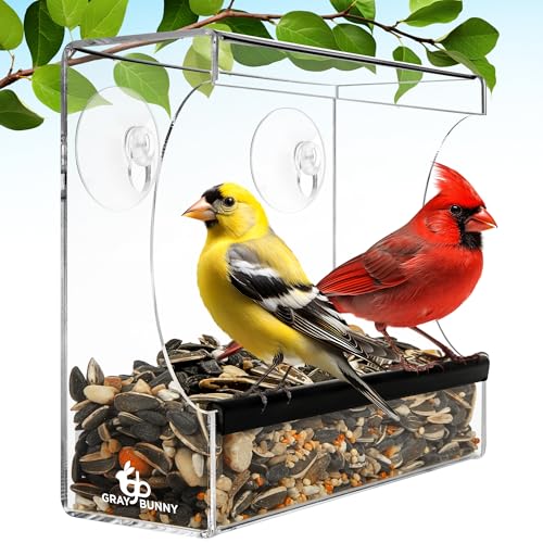 Clear Window Bird Feeder for Outdoors, Bird Houses with Strong Suction Cups | Premium bird feeder for window, cardinal bird feeder, drain holes & large seed capacity - style: Square Feeder