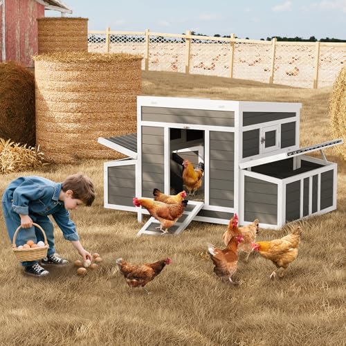 55" Wooden Chicken Coop, Chicken Coop for 4-6 Chickens, with 2 Sides Large Nesting Boxes, Outdoor Poultry Cage Rabbit Cage with Ramps & Tray,(54.41" x 34.49" x 34.05")