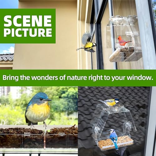 WENMIXER Window Bird Feeder with Non-Marking Self-Adhesive Hooks, Clear and Transparent, Outdoor Wild Bird Watching Gift, Garden Decor (with Large Window) - style: With Large Window