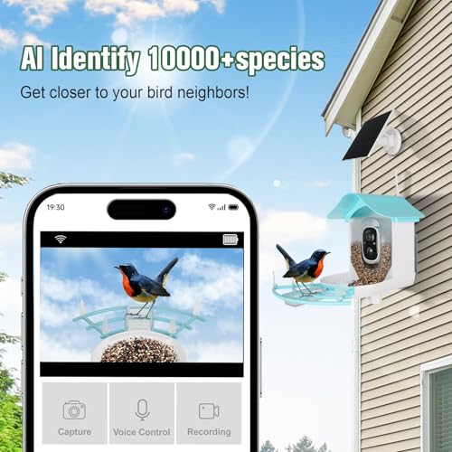 Bird Feeder with Camera, AI Identify Birds Species, Smart Bird Feeder with Camera Solar Powered, Auto 2K HD Video in Backyard, Ideal Gift for Family and Birds Lovers