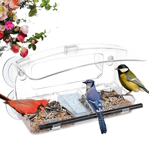 Window Bird Feeder with 4 Strong Suction Cup | 2.36 " heavy duty suction cups, close-up outdoor viewing, bird watching gift for wildlife lovers, fits cardinals, finches - color: Black