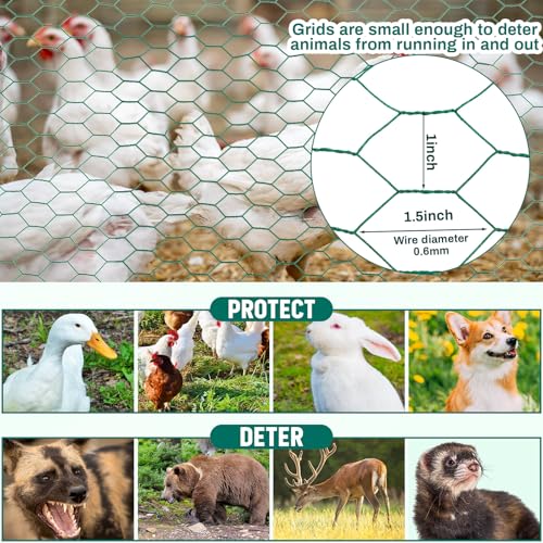 GlikCeil 36 in x 200 ft Chicken Wire Fencing Metal Floral Chicken Wire Mesh for Crafts Poultry Garden, 1 Inch Hexagonal Galvanized Hardware Netting for Poultry Coop Barrier Rabbit Cage (Green) - color: Green, size: 36 in X 200 ft