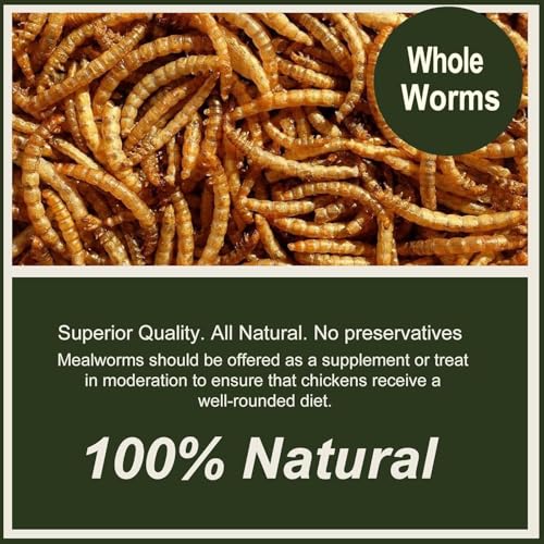 Adaman Dried Mealworms -5 LBS- 100% Natural High Protein Mealworms - Bulk Meal Worms for Blue Birds, Chickens, Ducks - Best Chicken Treats, Bird Food, Turtle Food - size: 5 Pound (Pack of 1)