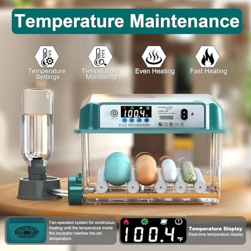 Egg Incubator for Hatching 16 Eggs|24 Quail Eggs, All-in-One Auto Incubator | Automatic Egg Turning, Precise Temperature Control, Stable Humidity Control, Adjustable Rollers for Duck, Goose, Pigeon Eggs